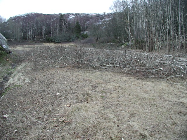 163.jpg