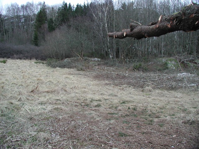 165.jpg
