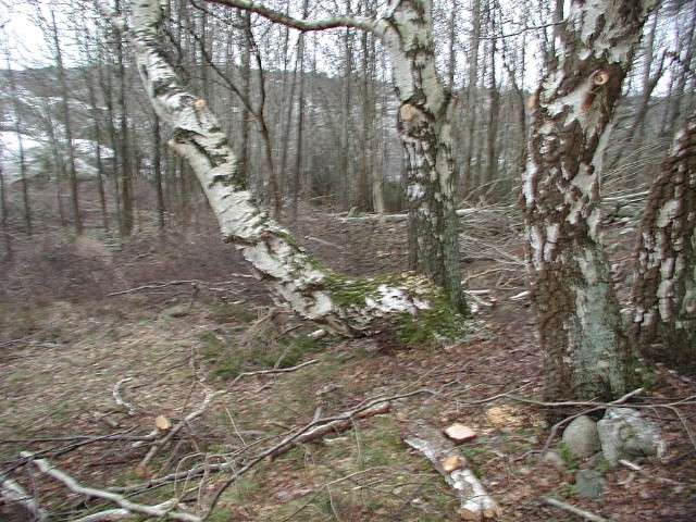 171.jpg