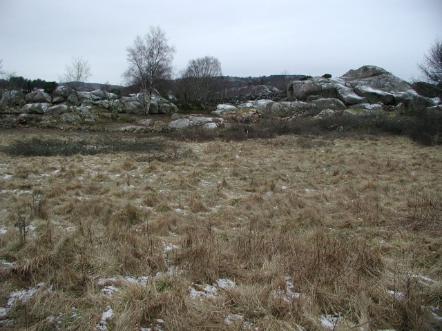 173.jpg