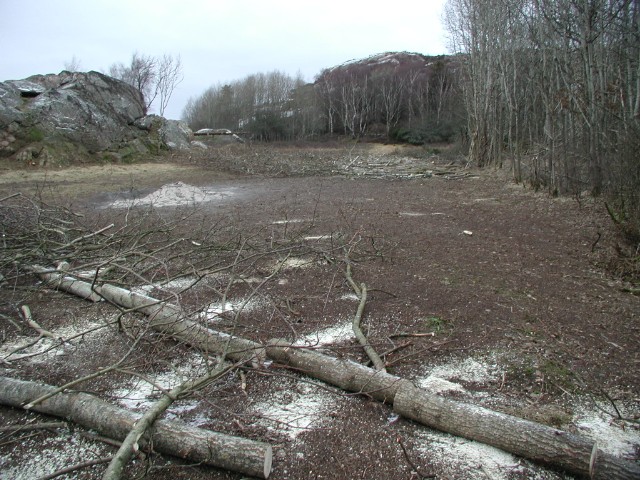 176.jpg
