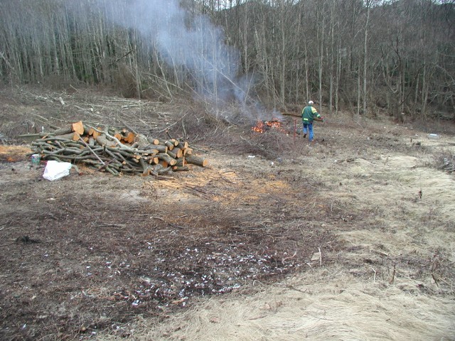 190.jpg