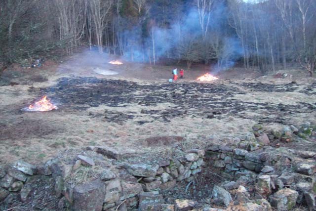 259.jpg