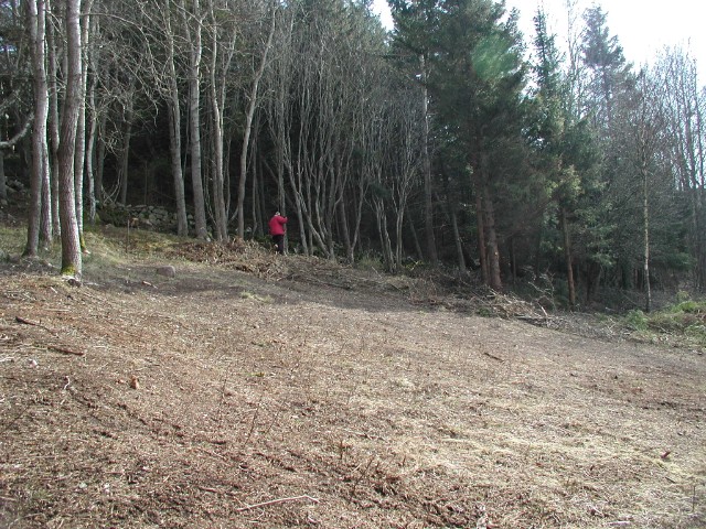 262.jpg