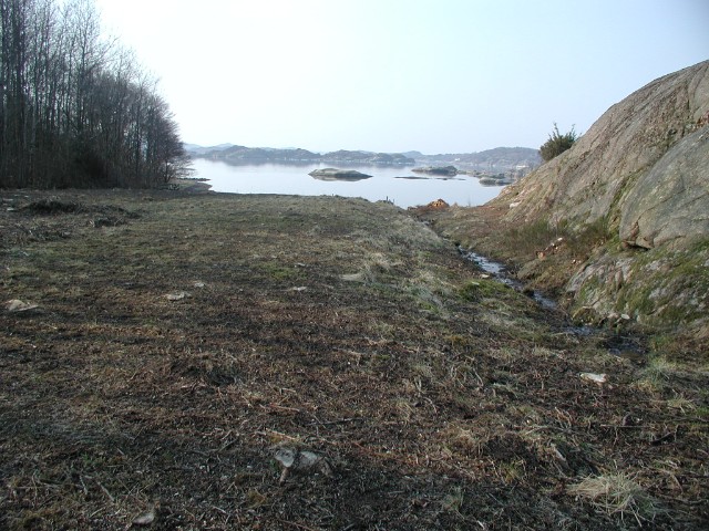 268.jpg