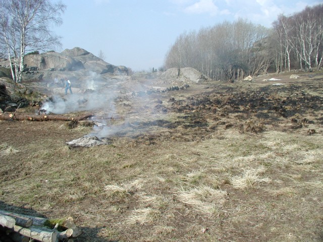 277.jpg