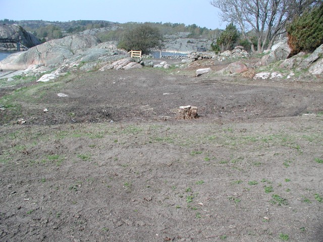285.jpg