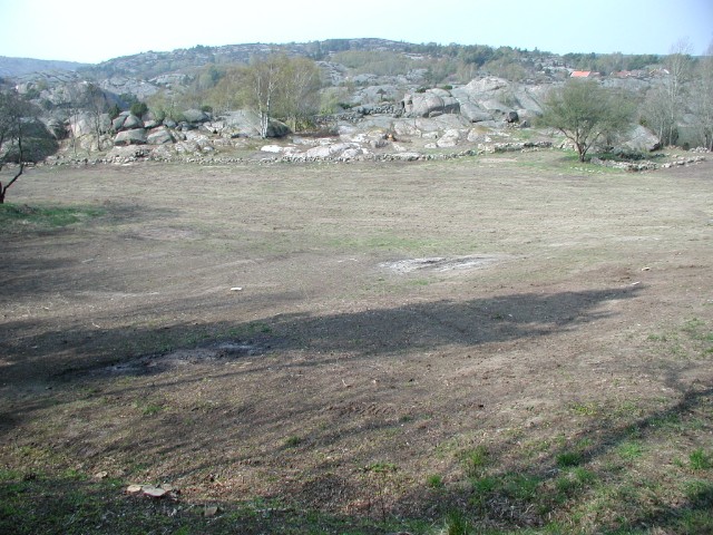 289.jpg