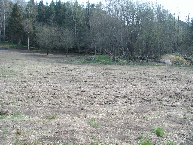 293.jpg