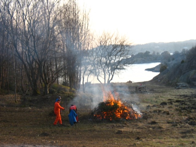 335.jpg