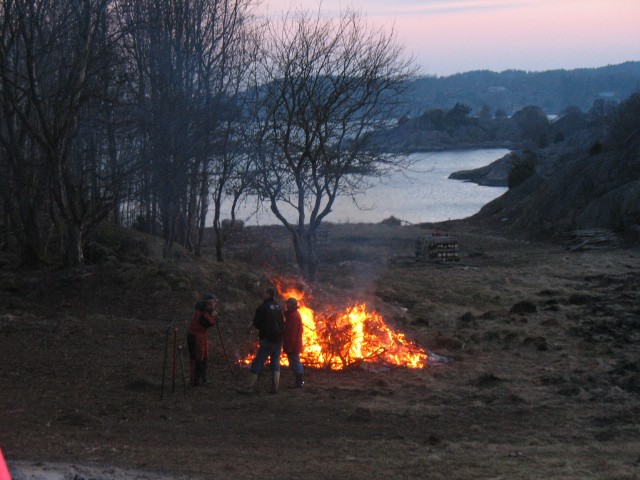 336.jpg