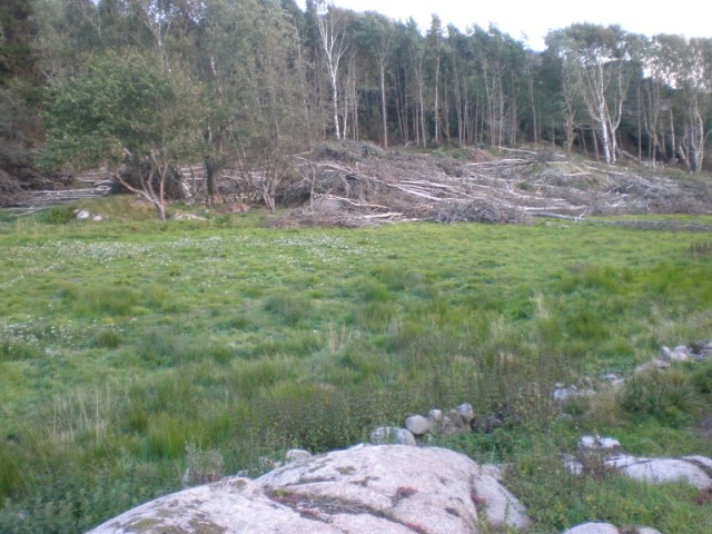 346.jpg