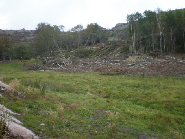 354.jpg