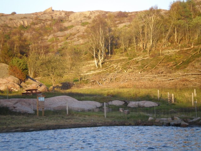 358.jpg