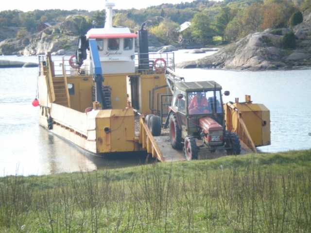 361.jpg
