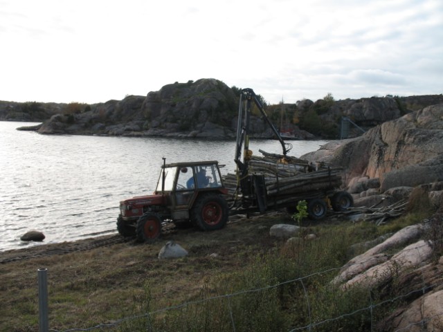 376.jpg