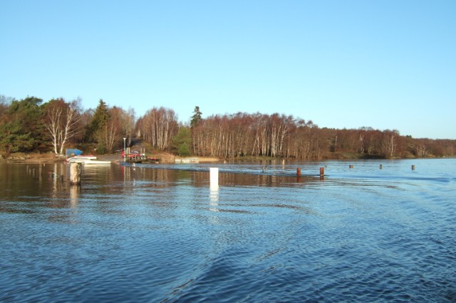 96.jpg