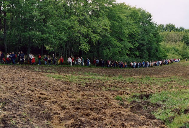 Flada_1.jpg